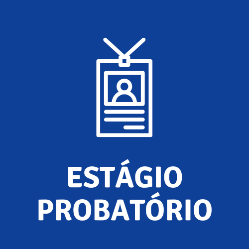 Estágio Probatório